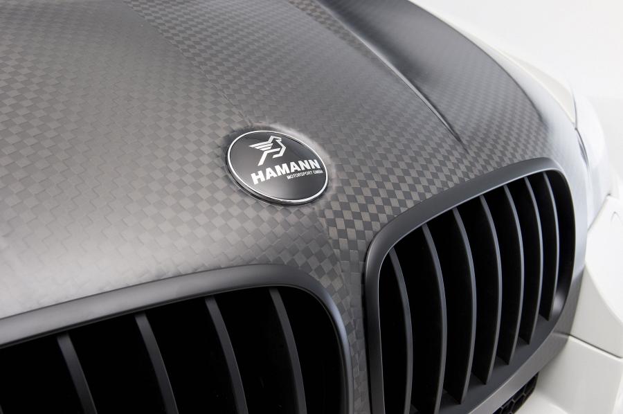  BMW X5 M Flash Evo M by Hamann 2010 года  (фото 27 из 40)